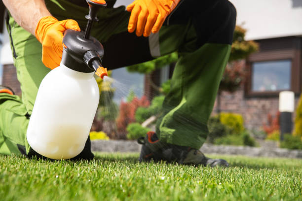 Flea Control Services in Alamosa East, CO